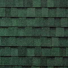 Rustic Evergreen